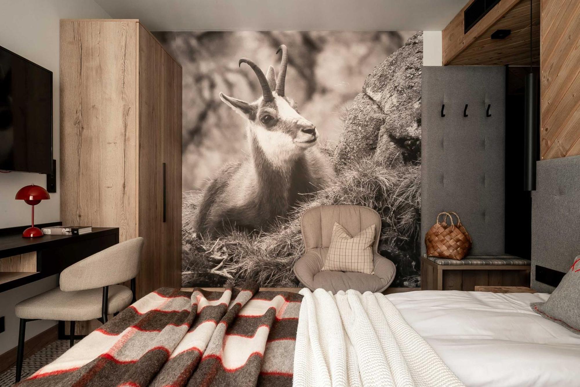 Stefanova Zakopane Aparthotel & Spa Exteriér fotografie